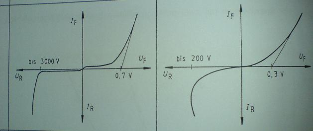 556667777.JPG