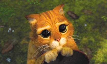 avatar_kater_shrek.jpg