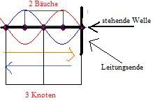 bauch.jpg