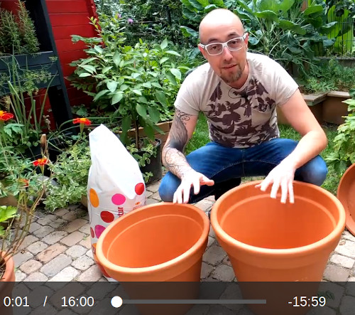 blumentopf_kuehlbox.jpg