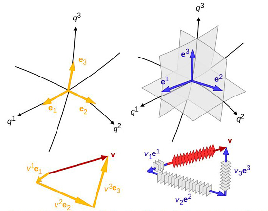 Co- and contravariance of vectors.jpg