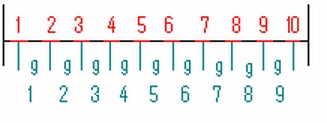gitter.jpg