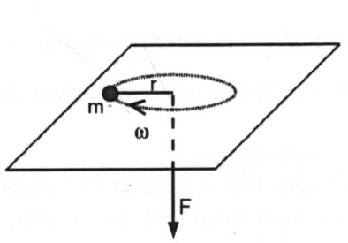 Illustration.png