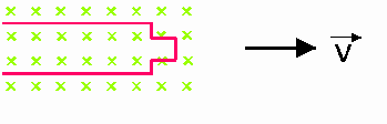 image1217.gif