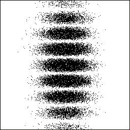 IMG_3170.gif