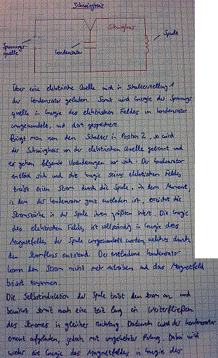 LC-Schwing11.gif