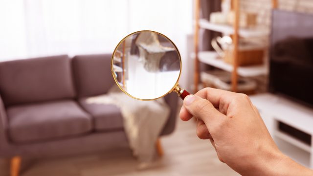 LupeWohnzimmer-640x360.jpg