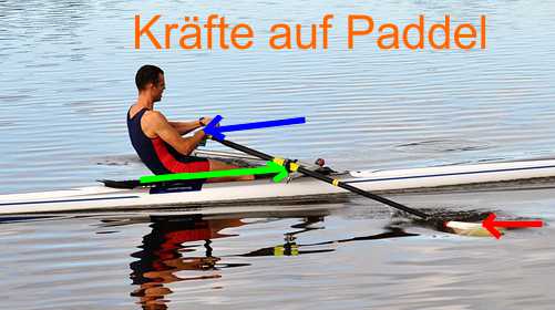 Paddel.jpg