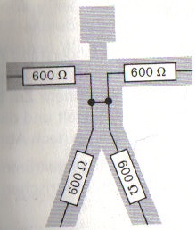 Physik.jpg
