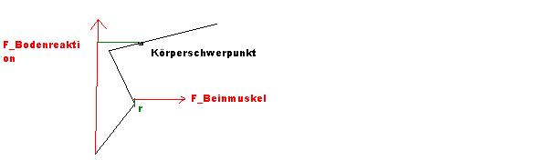 Rotation um Kniegelenk und KSP.JPG