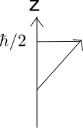 spin1.png